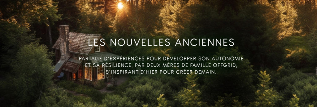 maison dans les bois avec texte "les nouvelles anciennes : partage d'expériences pour développer son autonomie et sa résilience, per deux mères de famille offgrid, s'inspirant d'hier pour créer demain". 